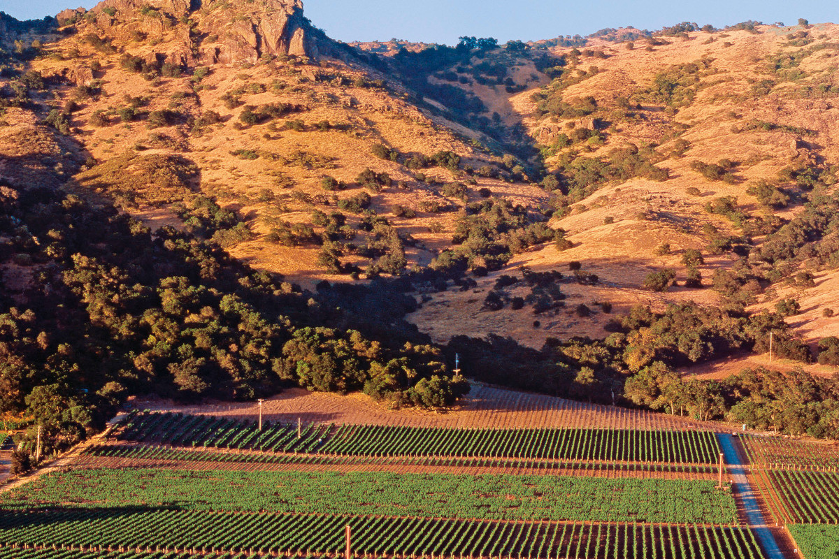 Marchesi Antinori acquista Stag’s Leap Wine Cellars: è l'unico produttore italiano in Napa Valley