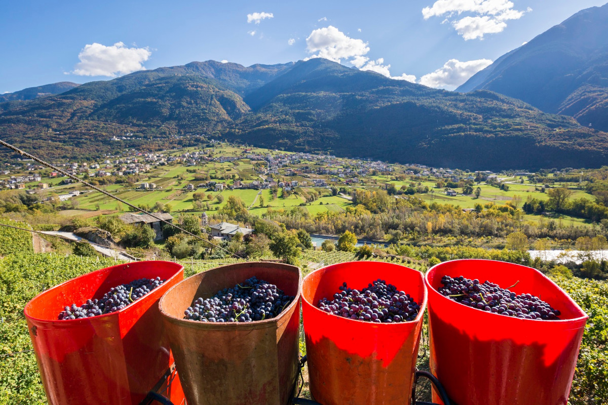 Estate in Valtellina tra buon cibo, bici ed esperienze uniche