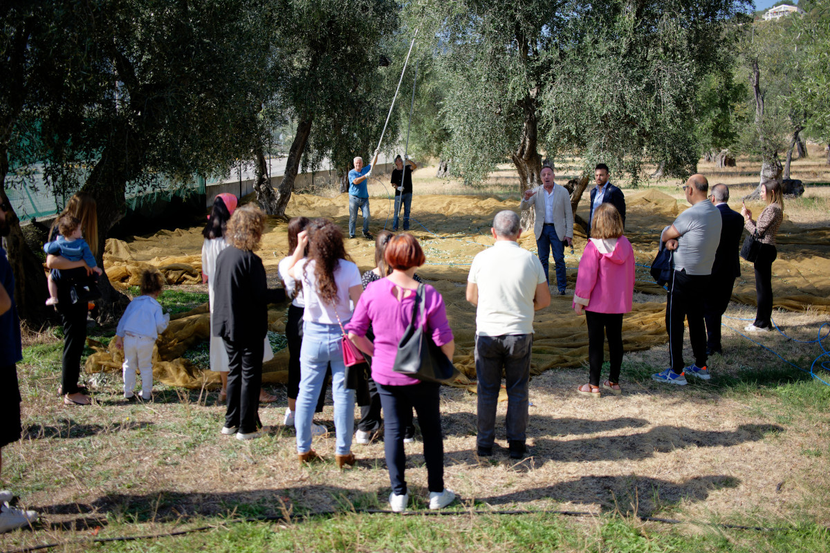 Come sviluppare il turismo dell’olio: l’esempio di Mattinata nel Gargano