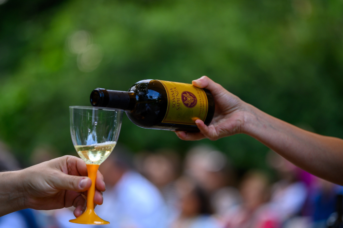 Somma sapienza, il primo vino che celebra il vigneto Italia 