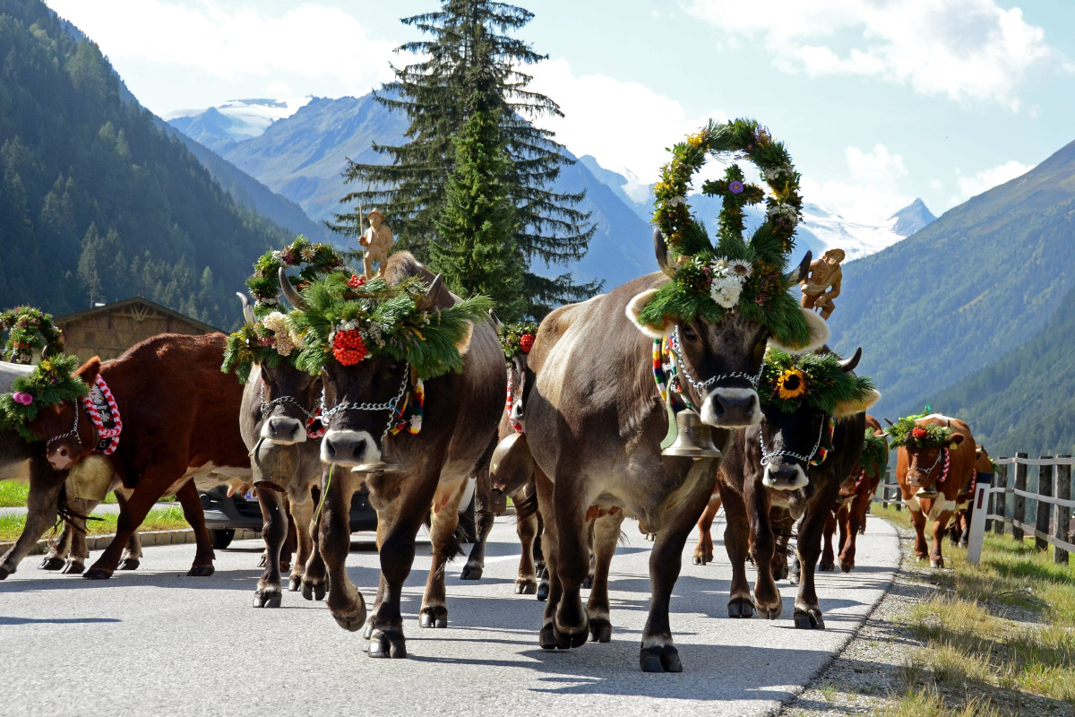 Fine estate nella Valle dello Stubai tra tradizioni e buon cibo
