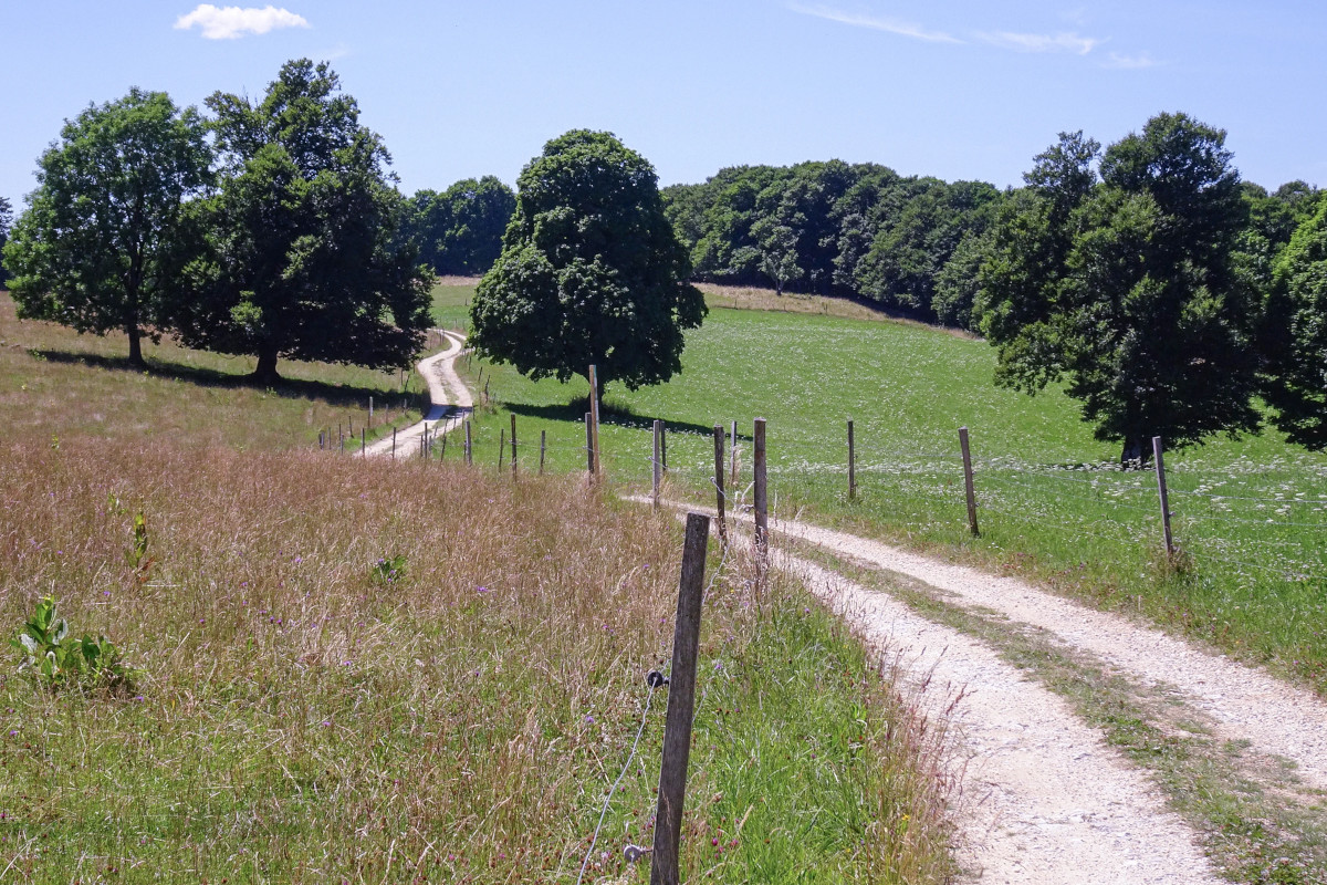 Viaggio in Svizzera tra treni storici, battelli a vapore e percorsi di trekking