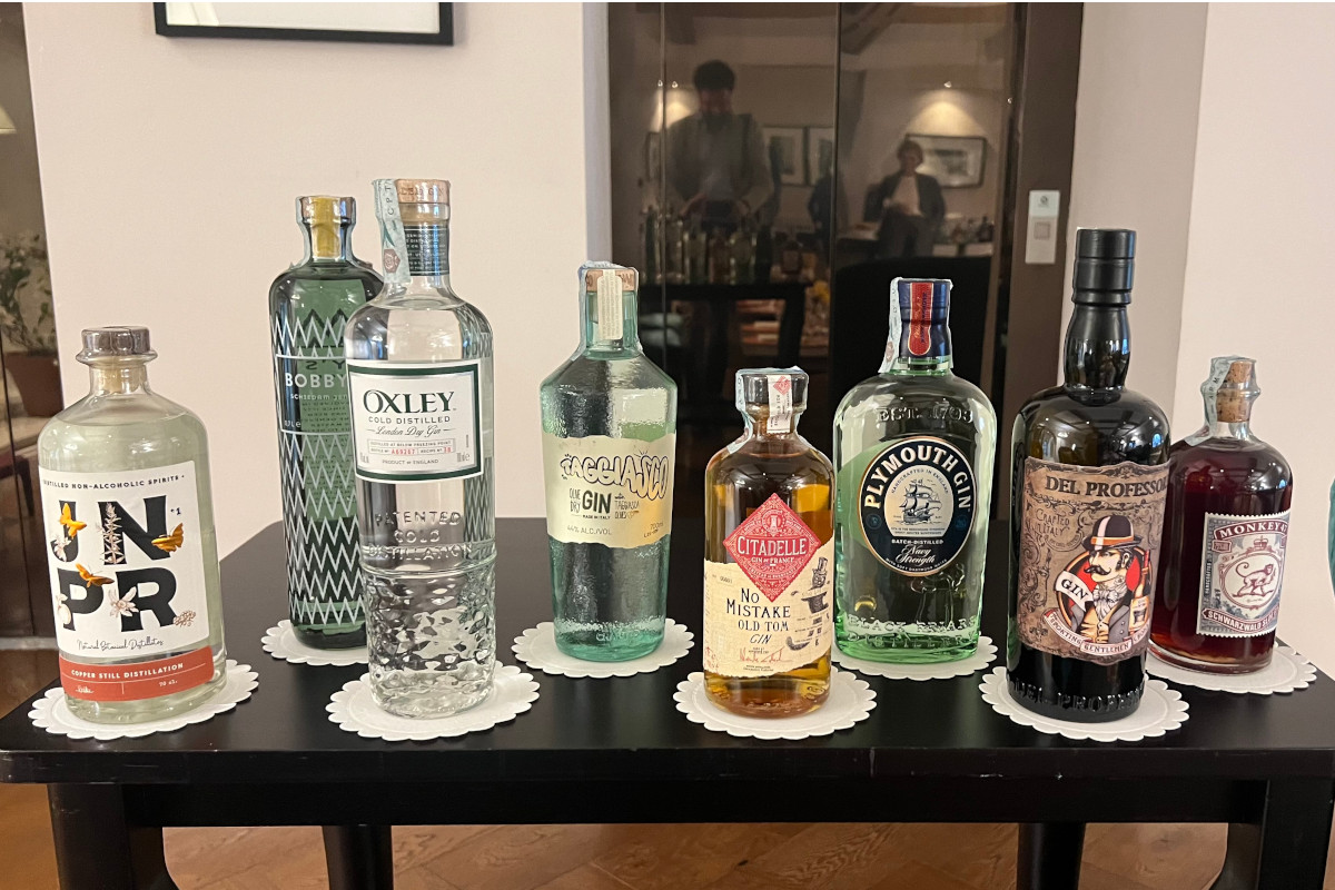 Verticale di gin al Turin Palace Hotel  Apologia del Gin Tonic, esperienza da intenditori al Turin Palace Hotel