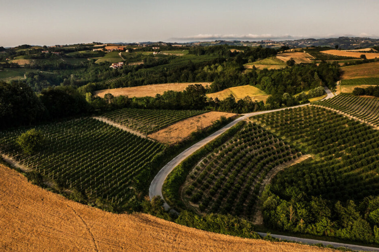 Un territorio ricco di scoperte. Foto: terreautentiche.it Langa Cebana, il Piemonte inedito in una terra da assaggiare