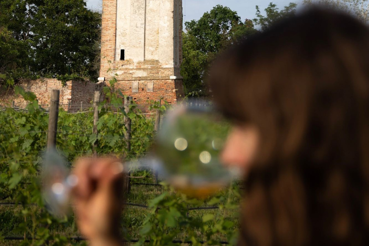 Wine in Venice andrà in scena dal prossimo 28 gennaio 2023 a Venezia Wine in Venice, aperte le candidature per il red carpet del vino