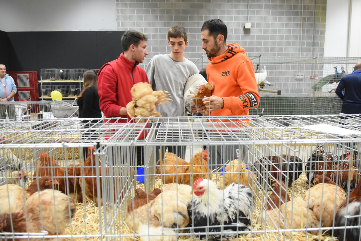 Agriturismo e agricoltura in fiera: torna Agrietour ad Arezzo