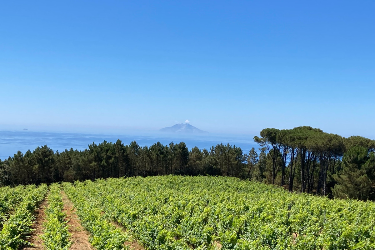 A Livorno arriva MareDiVino, la mostra mercato per assaggiare la Toscana