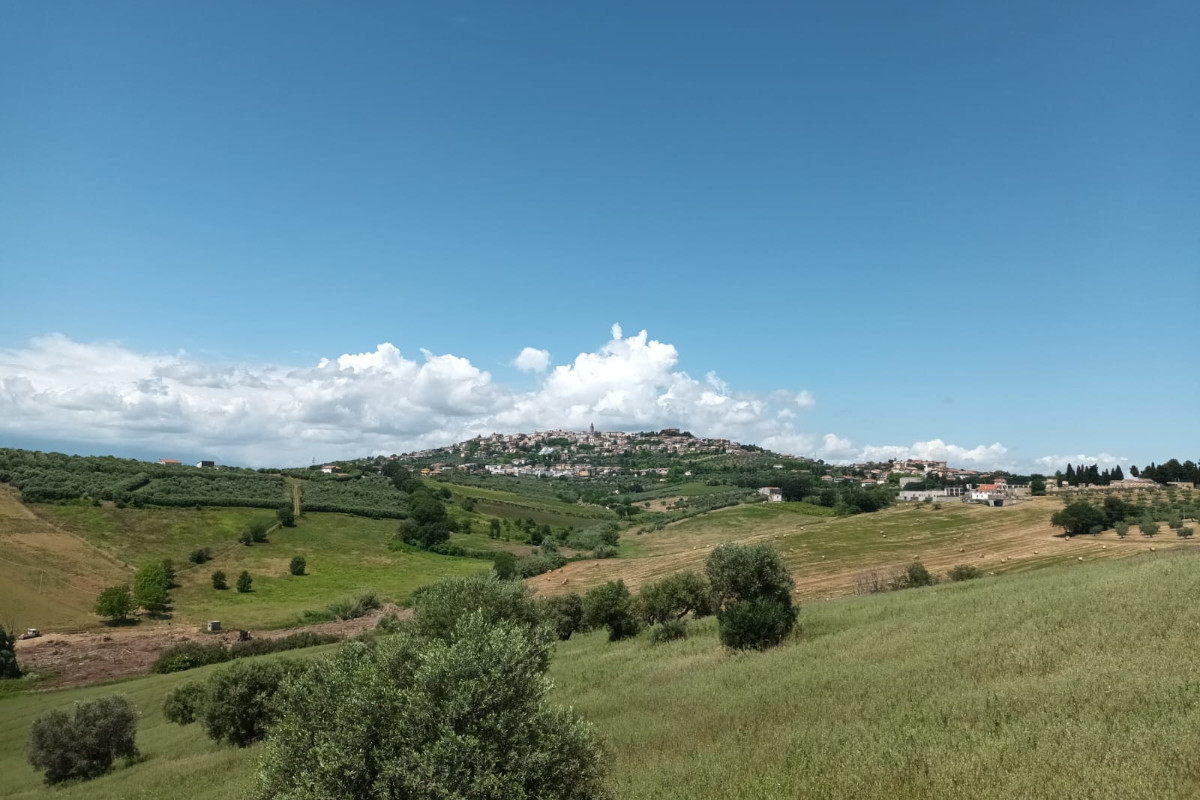 Salto di qualità per il Montepulciano d’Abruzzo: sarà il brand del territorio