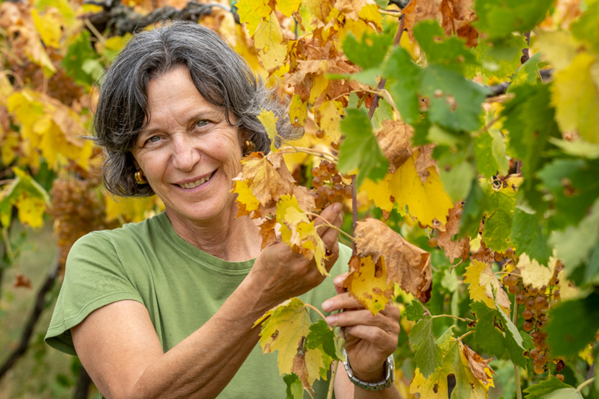 Inseguendo le tracce rosa di Matilde Poggi, regina del Bardolino Chiaretto