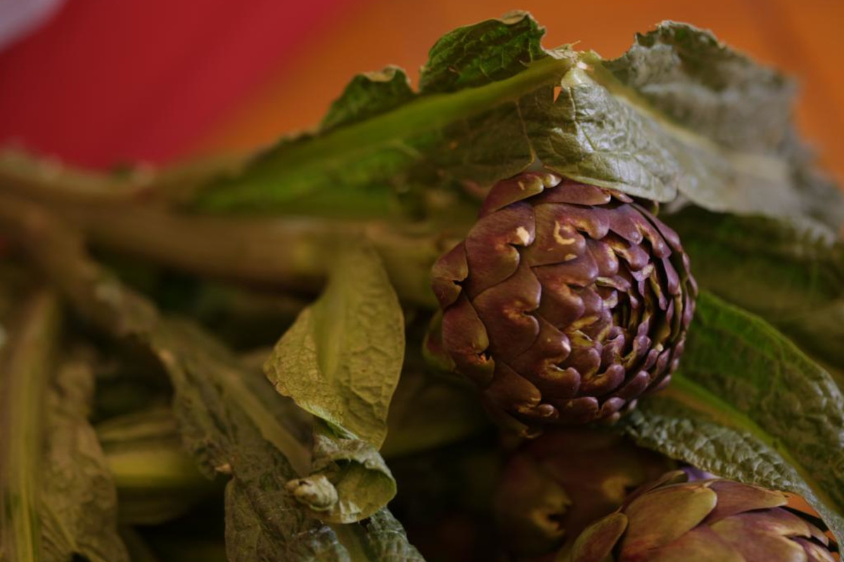 Torna il festival del carciofo romanesco Igp: ecco i piatti a tema nei ristoranti romani