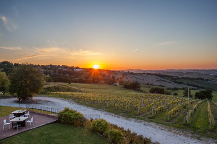 Vista Le Busche Moncaro Moncaro, il buon vino delle Marche in uno scrigno