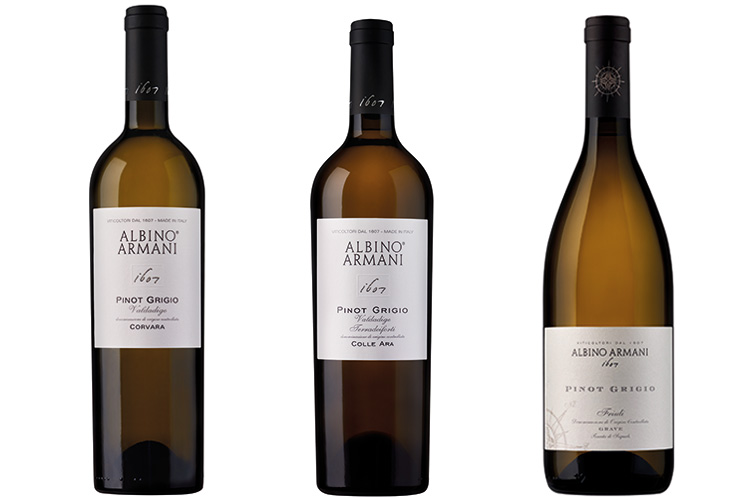 Albino Armani, eccellenza del Pinot Grigio del Triveneto