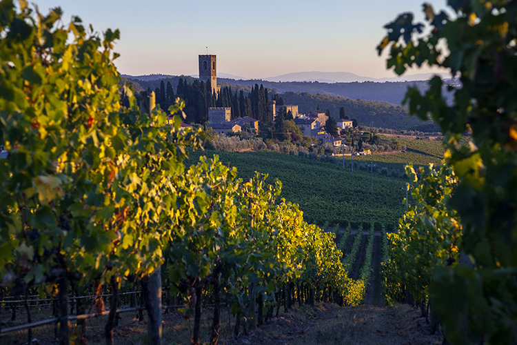 Badia a Passignano - Le tenute di Marchesi Antinori tracciano un itinerario in Toscana