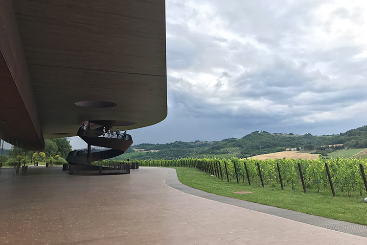 (Antinori nel Chianti Classico Un tempio per vivere il vino)