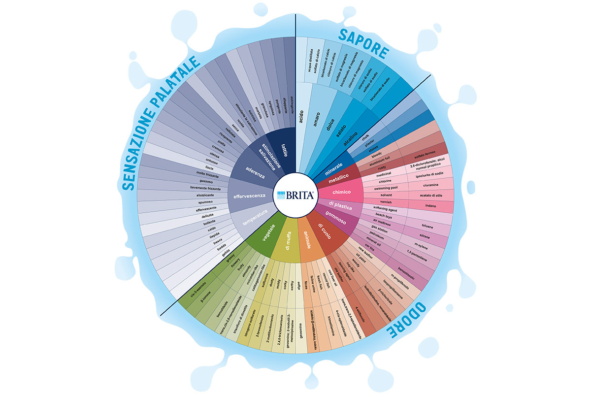La ruota sensoriale di Brita Non tutte le acque sono uguali: ecco perché filtrarle