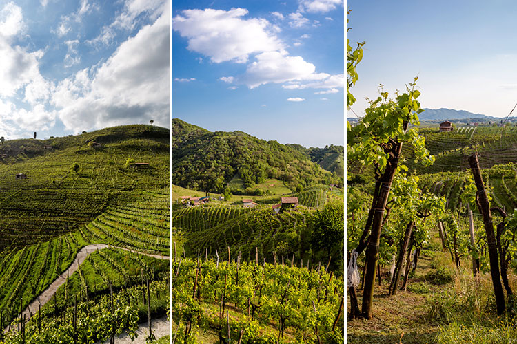 (Bisol e Lunelli, insieme per valorizzare il marchio di qualit&agrave; della Docg Prosecco)