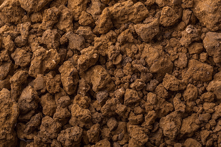 (Bisol, viticoltori dal 1542  Una garanzia per i Prosecco lovers)