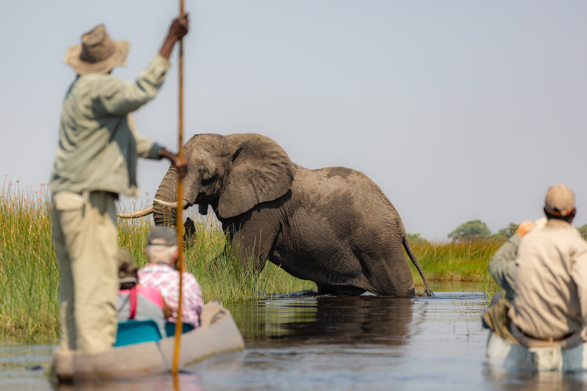 La forza della natura in Botswana Nel 2023 si viaggia: ecco 10