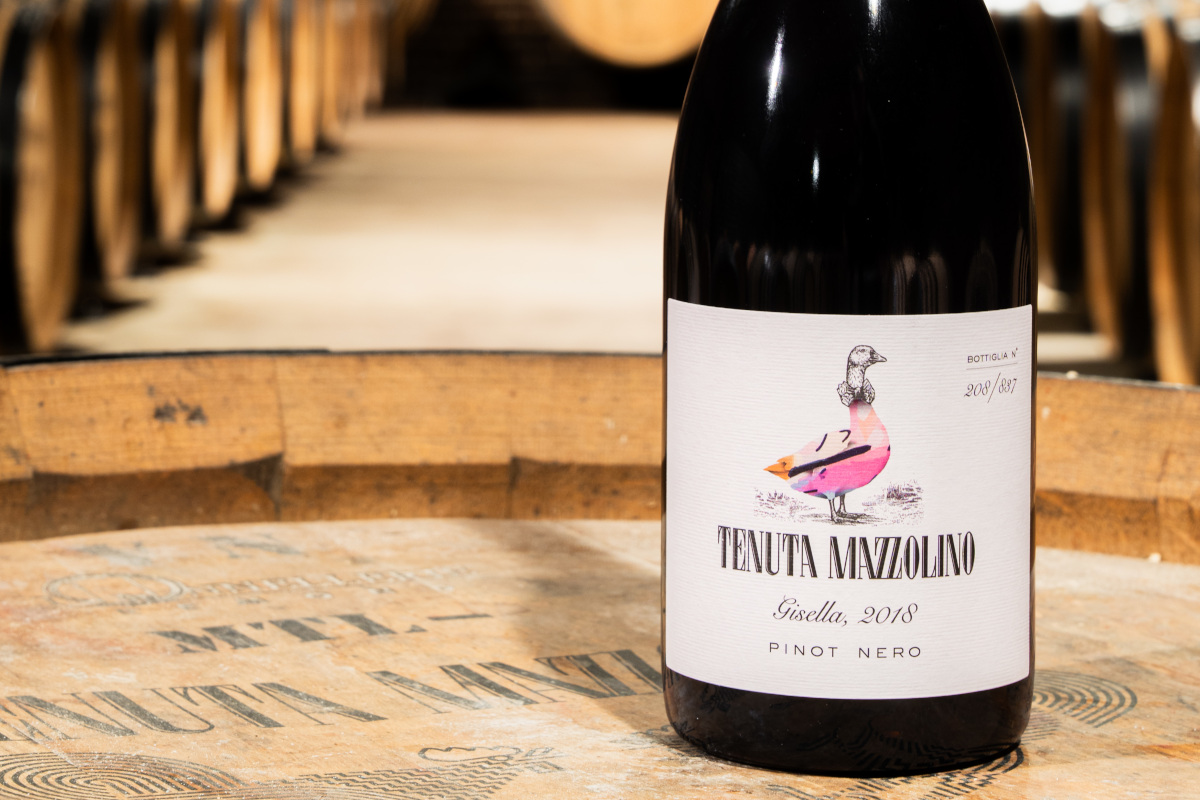 Gisella, l'oca del Pinot Nero: la nuova icona di Tenuta Mazzolino