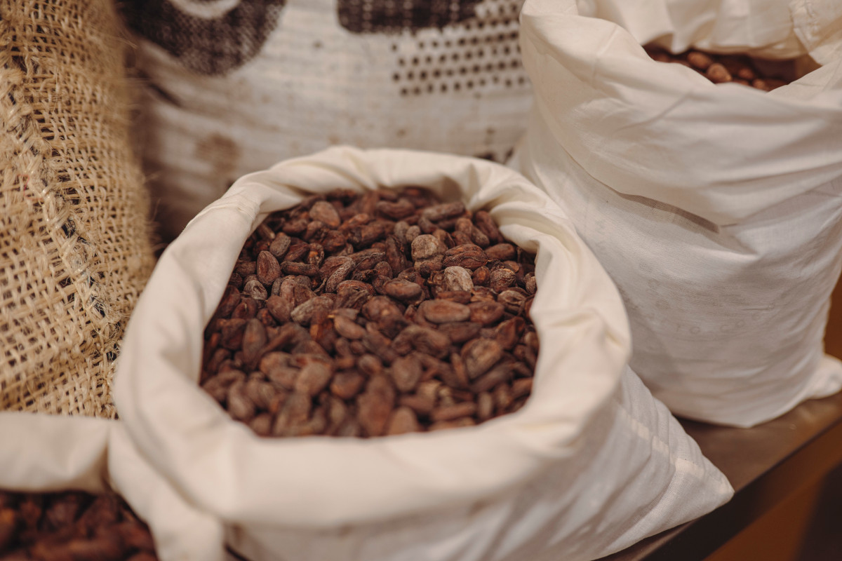 Da Eugenio Guarducci alla Città del Cioccolato: 31 anni di festival a Perugia