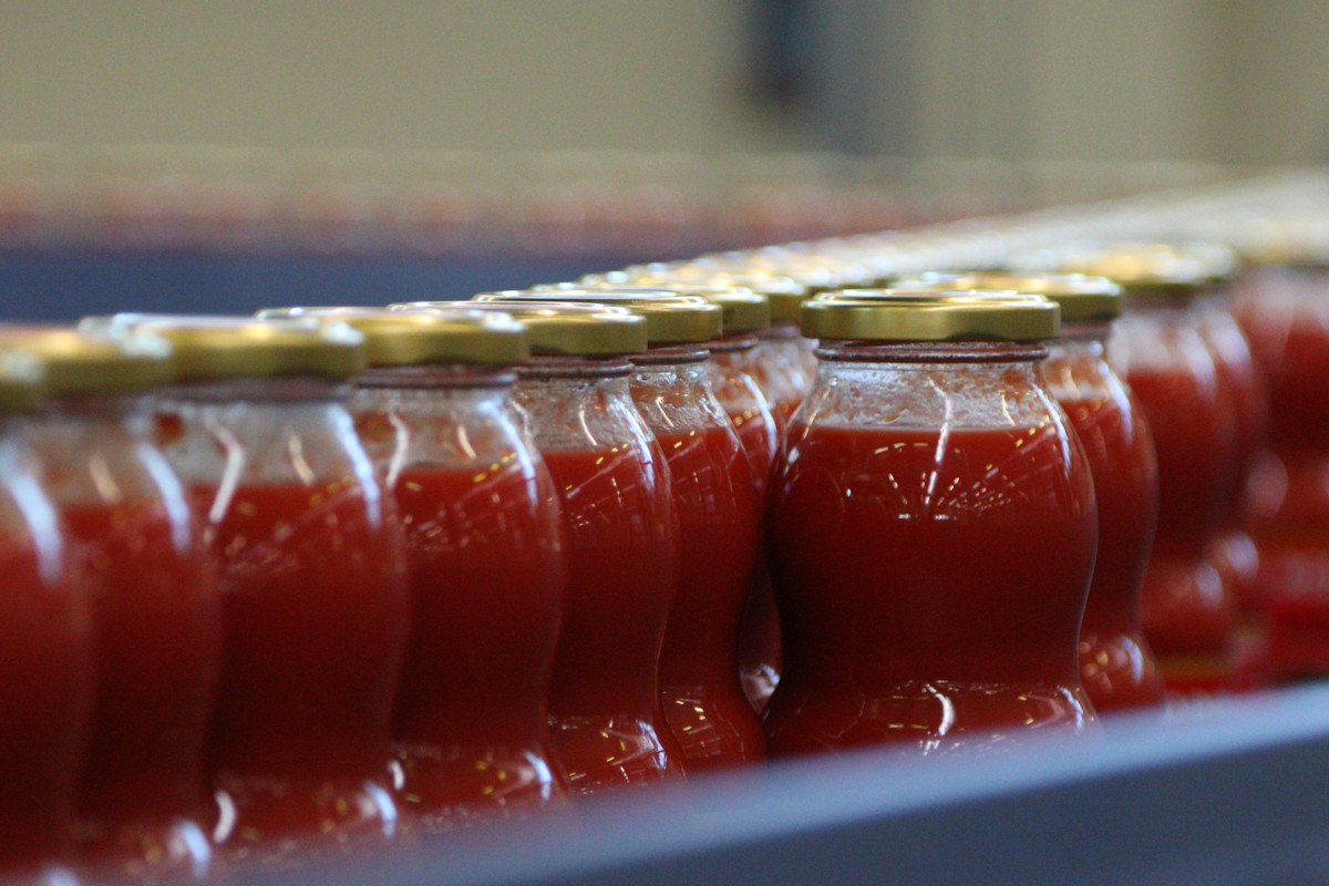 Dai terreni all’ottimizzazione energetica: raccolta del pomodoro più sostenibile (e in crescita) Dai terreni all’ottimizzazione energetica: raccolta del pomodoro più sostenibile (e in crescita)