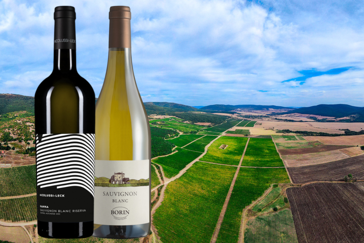 Sauvignon Selection by CMB: per l'Italia 2 Gran medaglie d'oro e 33 premi totali Sauvignon Selection by CMB: per l'Italia 2 Gran medaglie d'oro e 33 premi totali