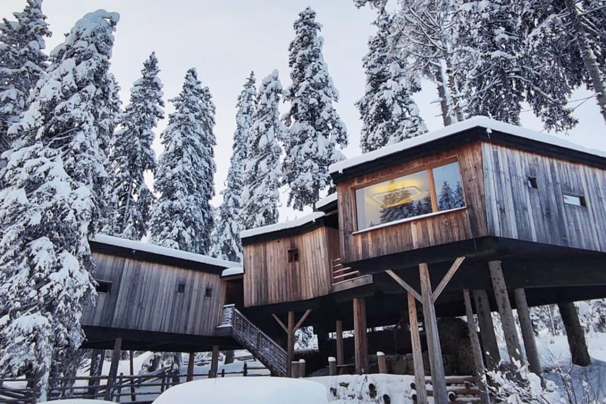 Si possono scegliere fra mobile home e case sugli alberi Paura di Omicron ma voglia di vacanza? La soluzione è il campeggio sulla neve