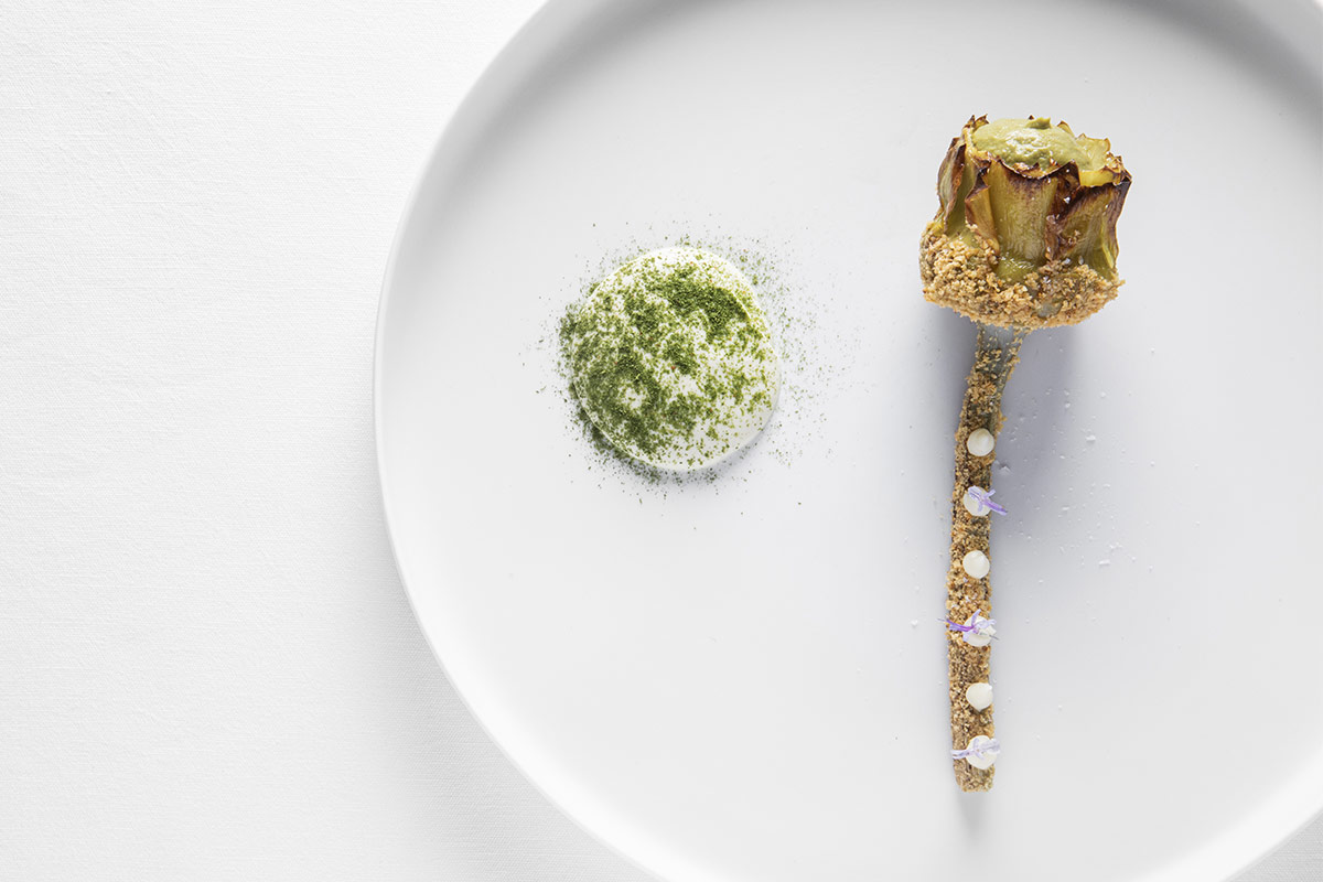 Carciofo di Albenga&nbsp; Carciofo di Albenga