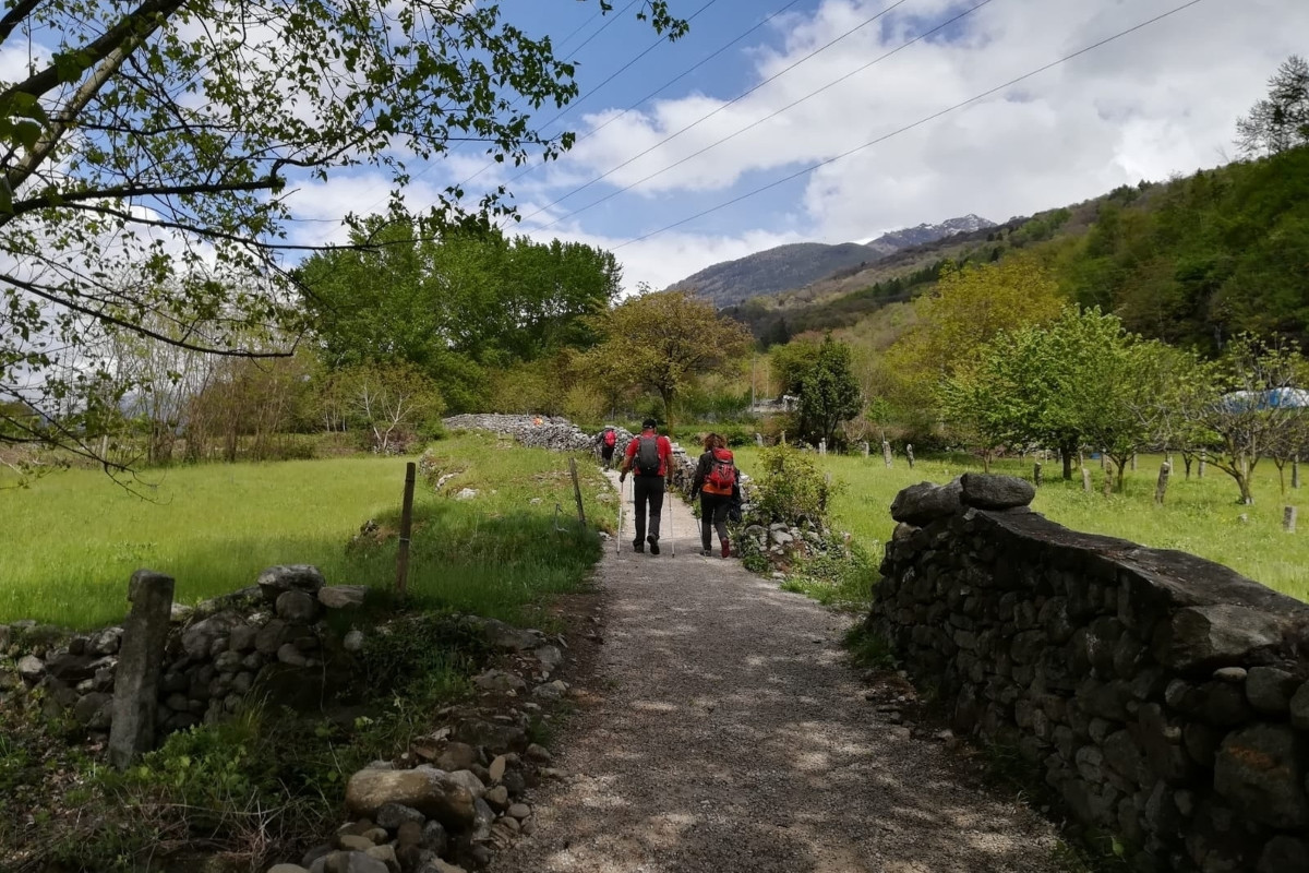 Cinque cammini imperdibili per gli amanti del trekking lento in provincia di Brescia