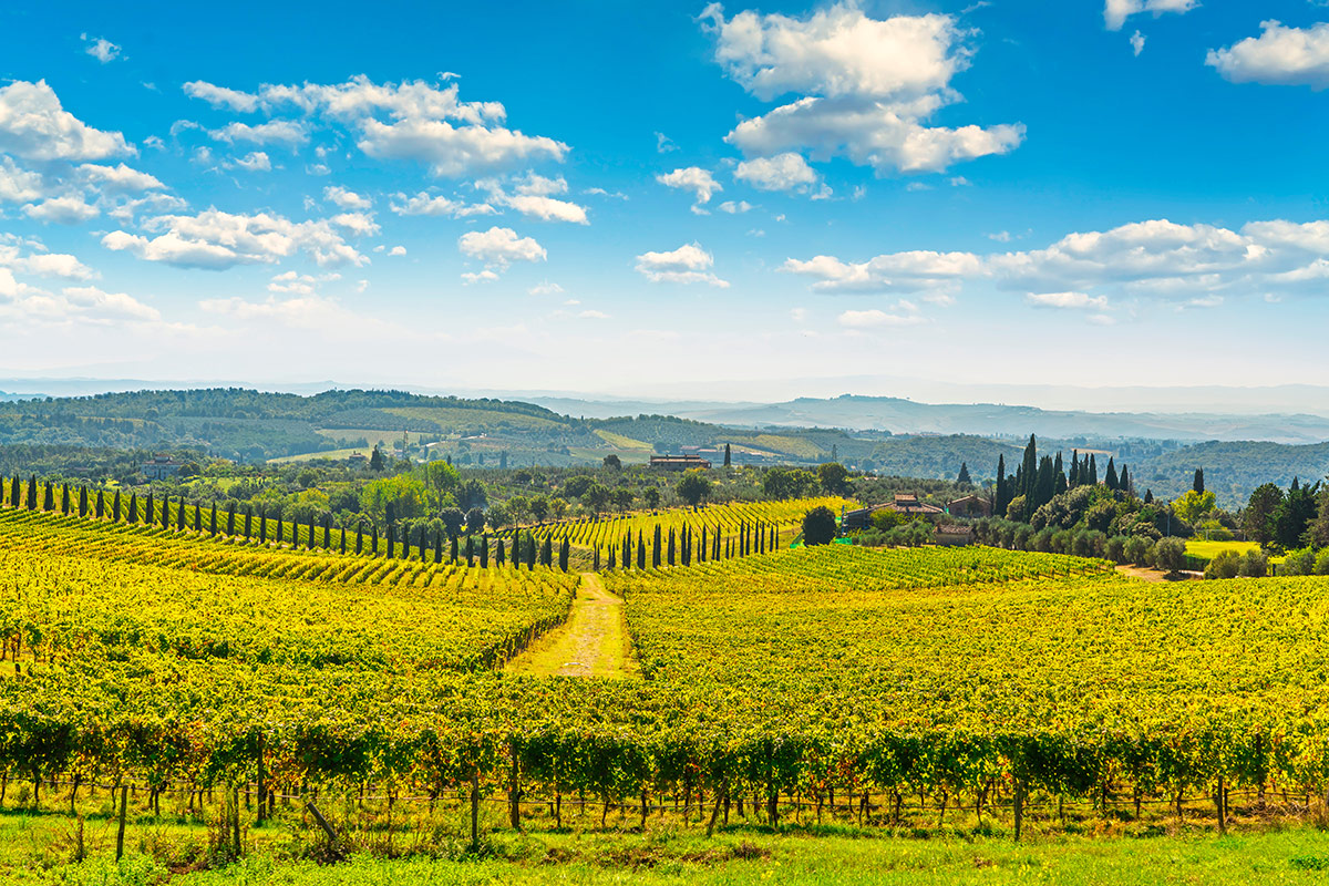 Con le Uga, il Chianti Classico Gran Selezione si fa in undici