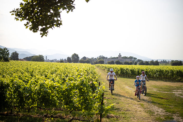 In Franciacorta si snodano 5 itinerari eno-ciclo-turistici Quante cose da fare a Brescia Tra storia, arte, natura e gite