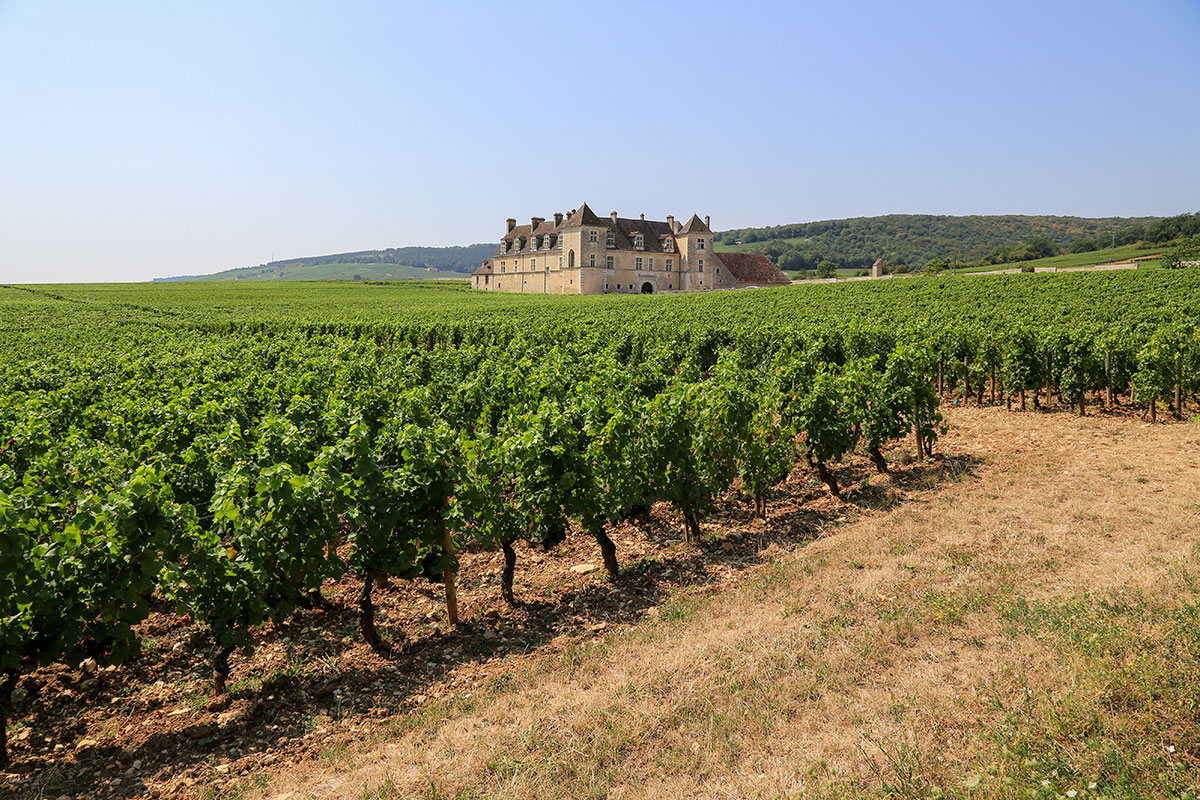 [[Tour de la gastronomie]] Vino, mostarda, ribes e non solo: Borgogna terra di eccellenze