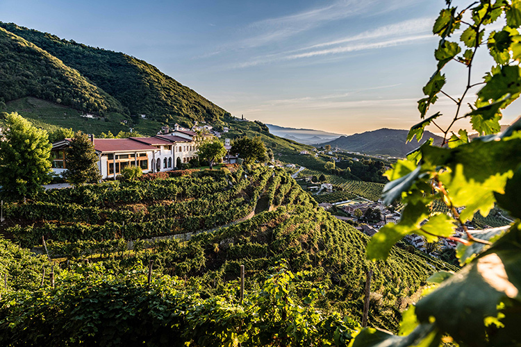 Le colline di Conegliano Valdobbiadene (Col Vetoraz: «Produciamo ciò che siamo»)