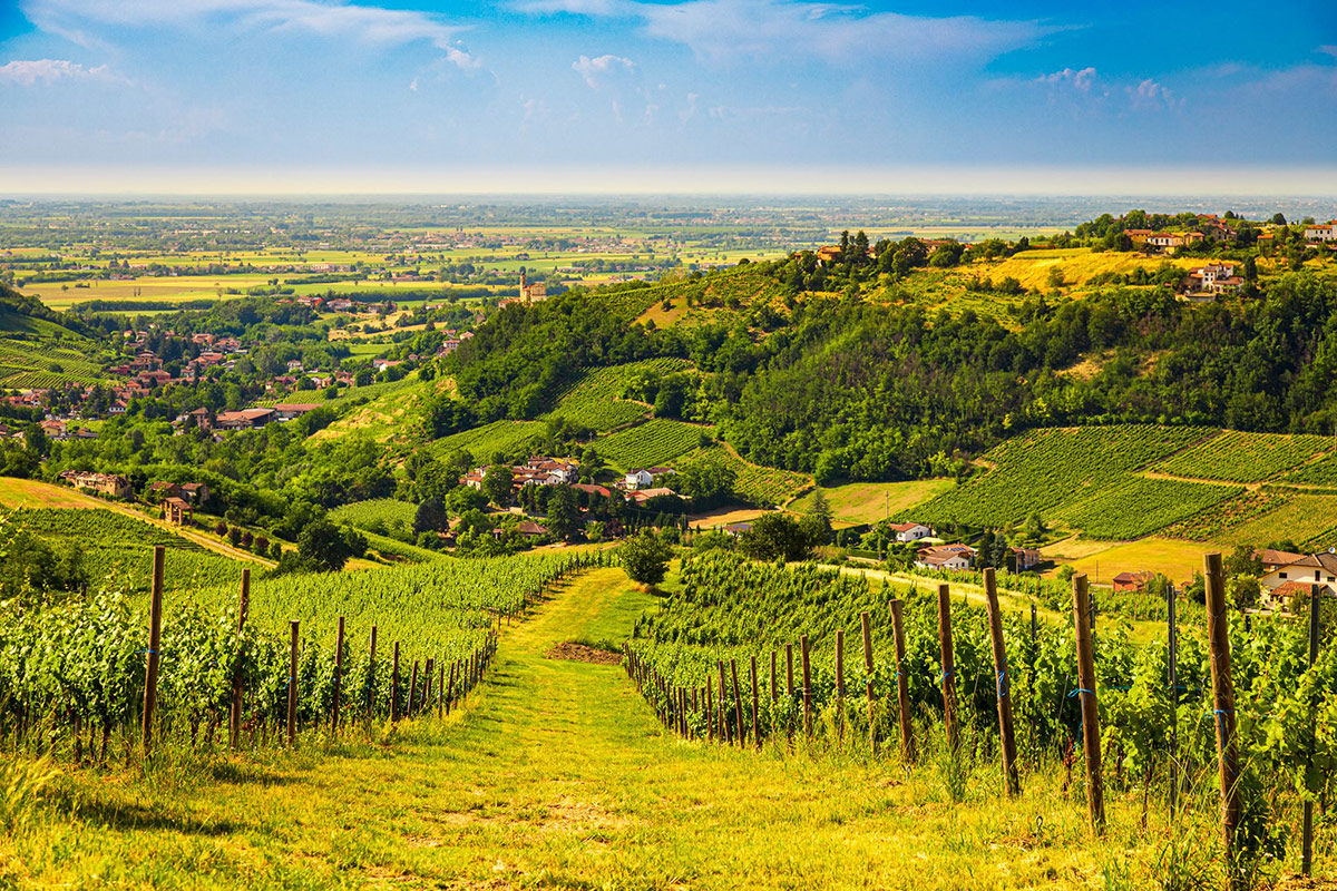 Pinot nero e non solo: Oltrepò Pavese, una terra di eccellenze tutta da scoprire