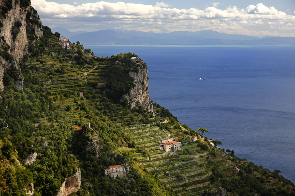 Marisa Cuomo: l'incanto dei vini che celebrano il mare e la passione enologica