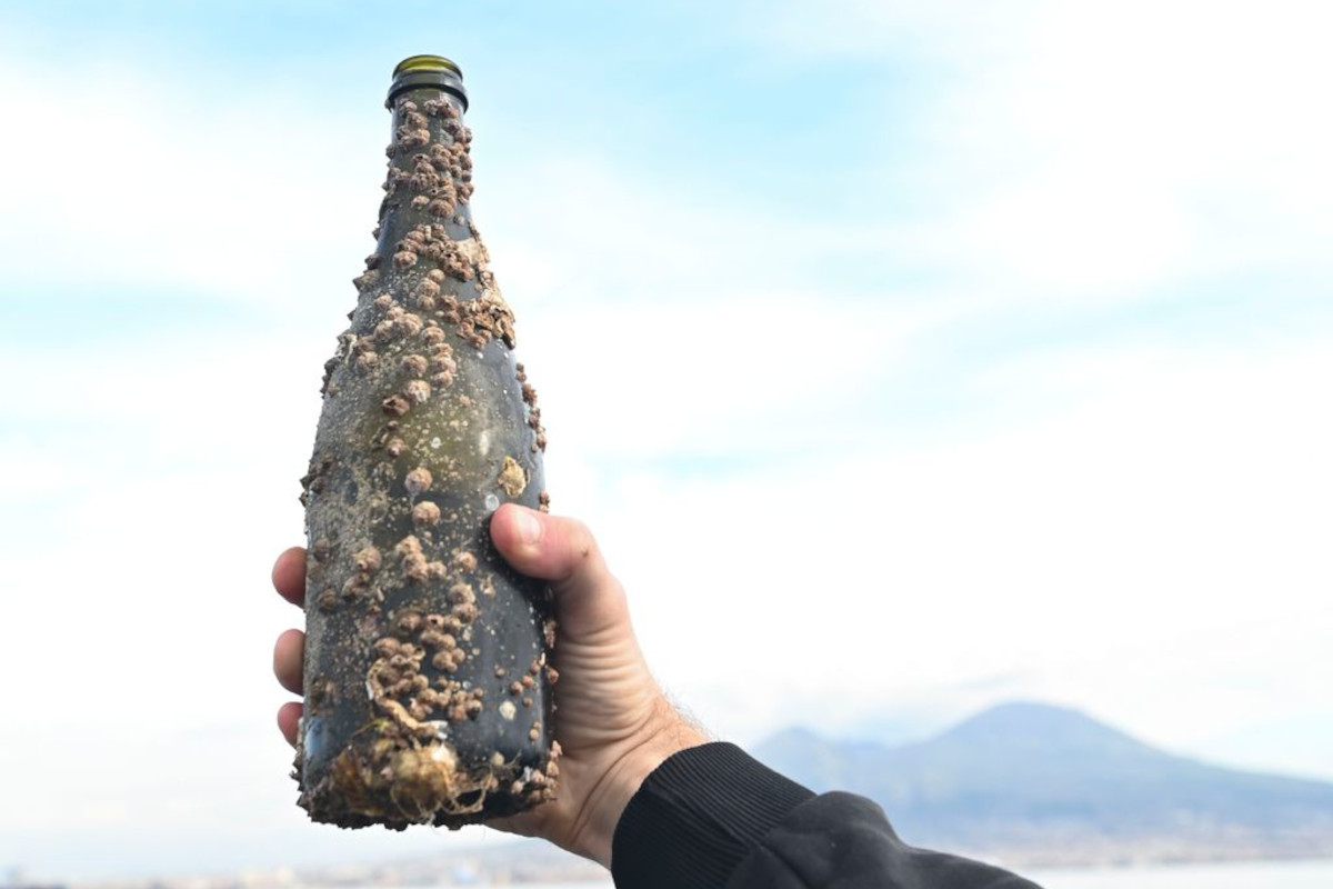 Affinamento subacqueo: cosa cambia nel vino dopo un anno nel Golfo di Napoli Affinamento subacqueo: cosa cambia nel vino dopo un anno nel Golfo di Napoli