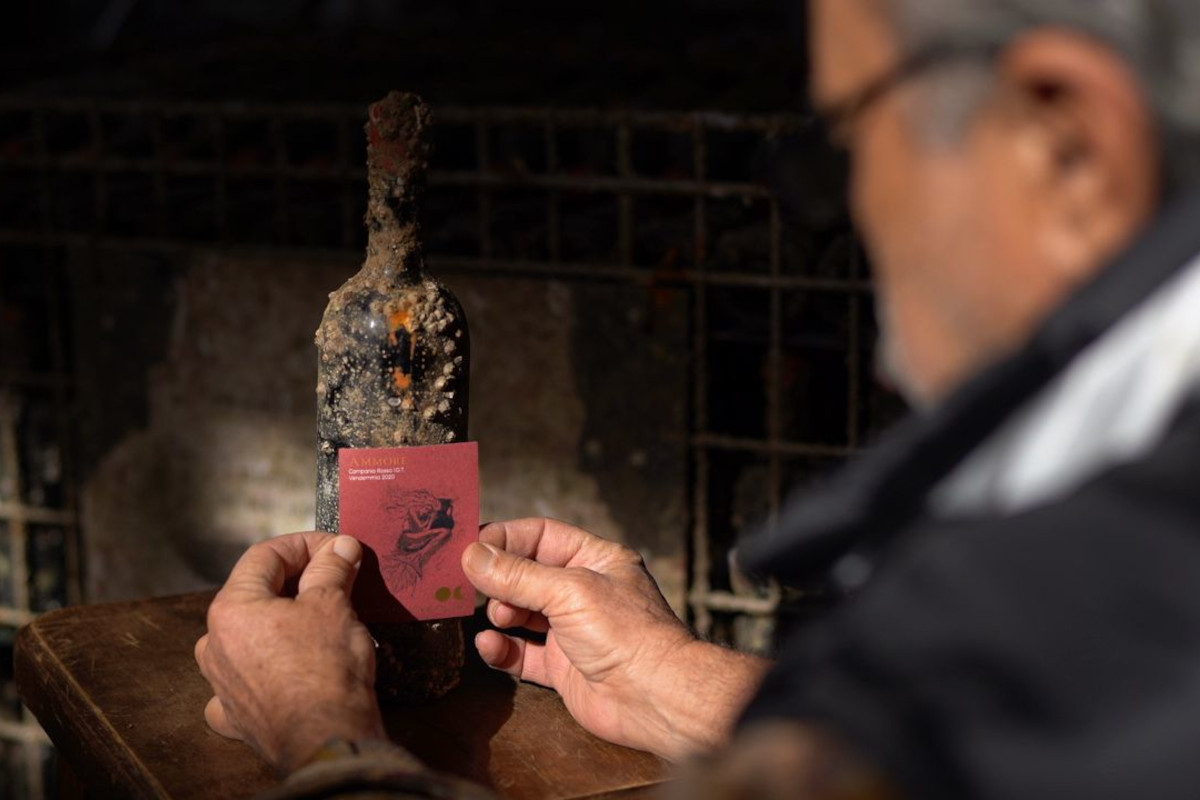 Affinamento subacqueo: cosa cambia nel vino dopo un anno nel Golfo di Napoli Affinamento subacqueo: cosa cambia nel vino dopo un anno nel Golfo di Napoli