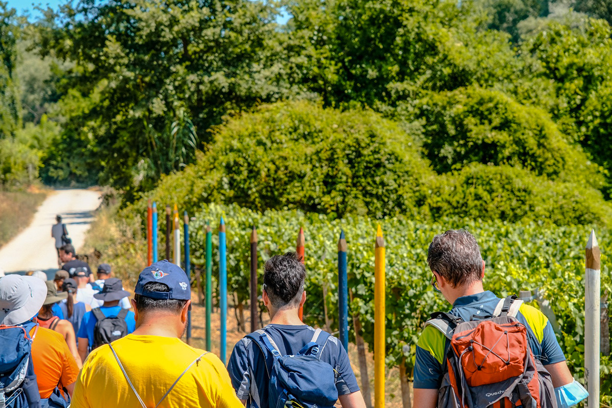 Gli enoturisti si sono moltiplicati e sono sempre più competenti Movimento Turismo del Vino in gran forma