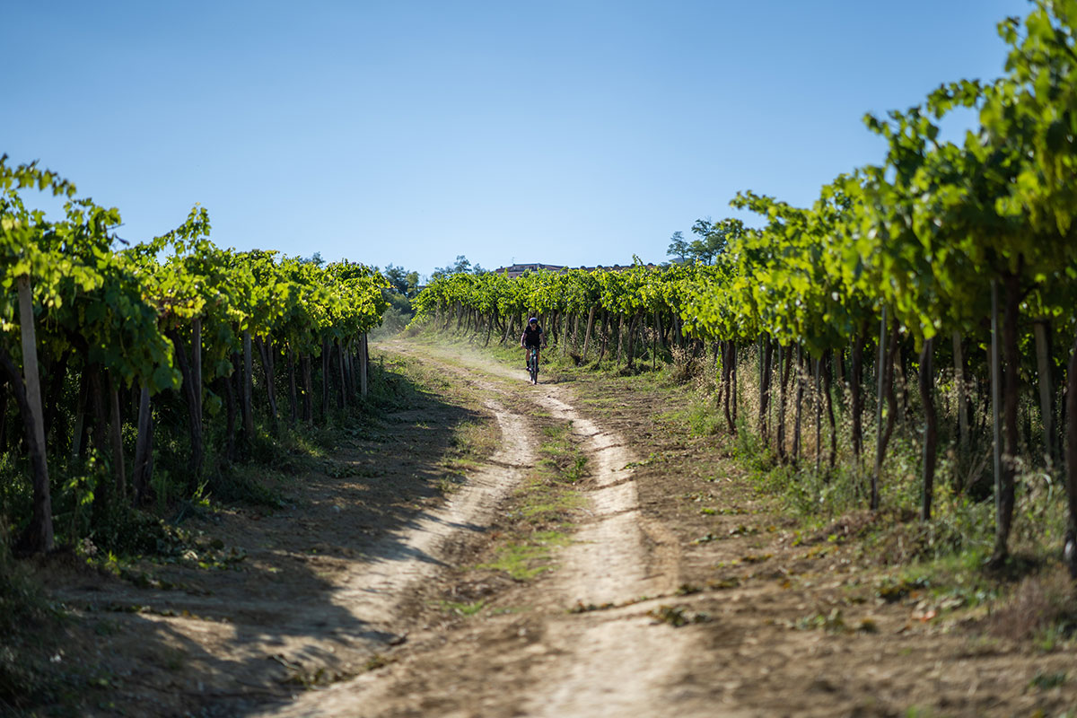 Esperienze enoturistiche d’autore con il Consorzio Vini d’Abruzzo