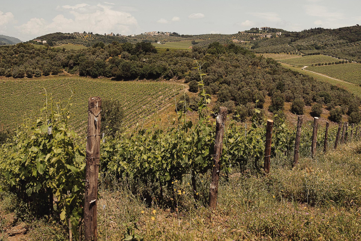 La valorizzazione della Tenuta di Artimino: zonazione, viticoltura e sostenibilità