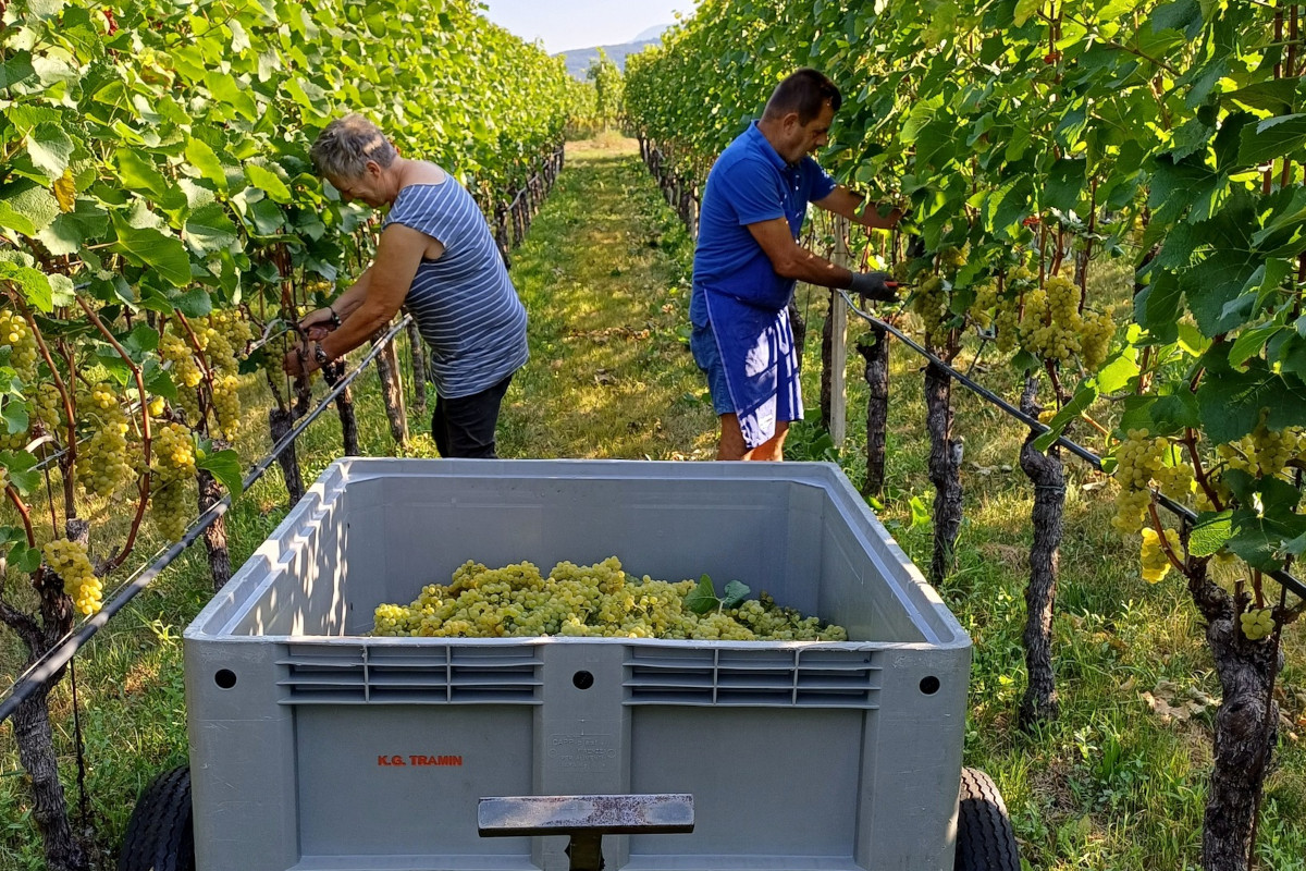 Epokale 2017: il Gewürztraminer che affina sette anni nella miniera di Ridanna