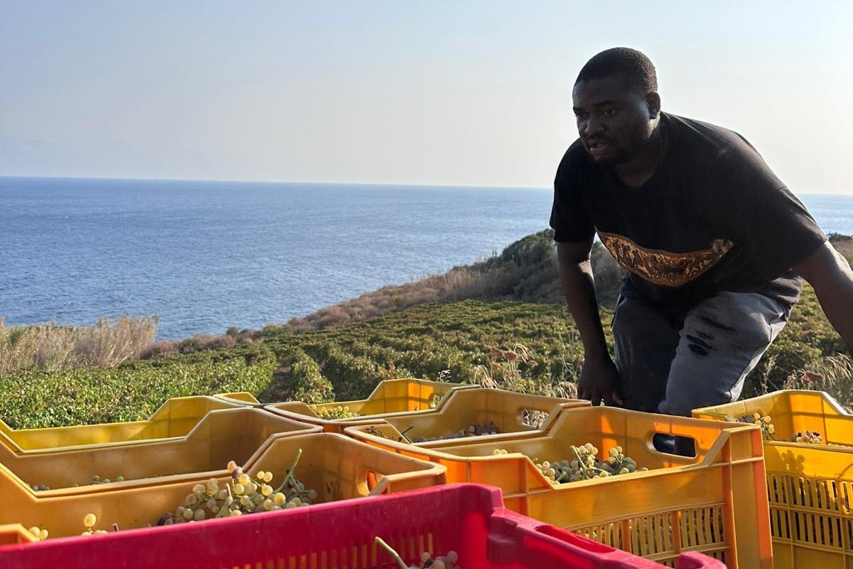Nino Caravaglio, il vignaiolo che racconta le Eolie attraverso il lavoro della terra
