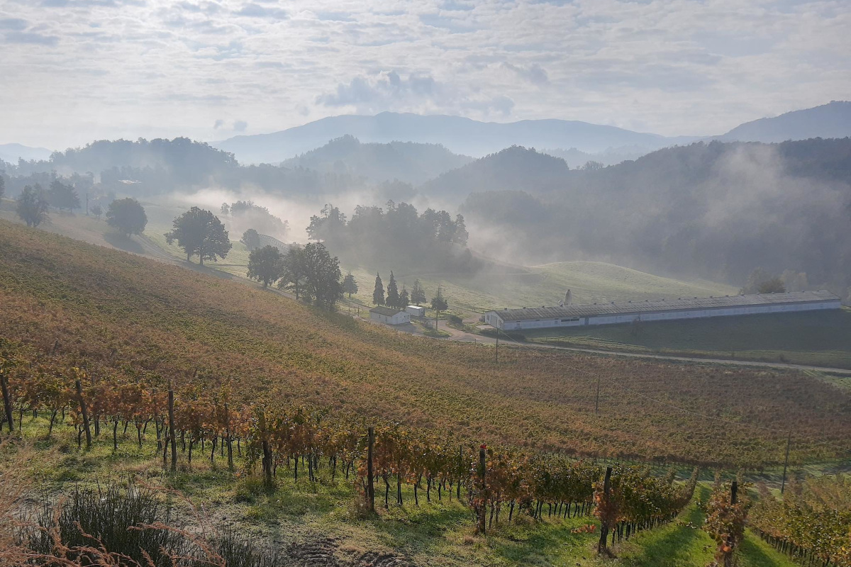 L'Oltrepò in mostra a Parigi aspettando la riforma del disciplinare L'Oltrepò in mostra a Parigi aspettando la riforma del disciplinare