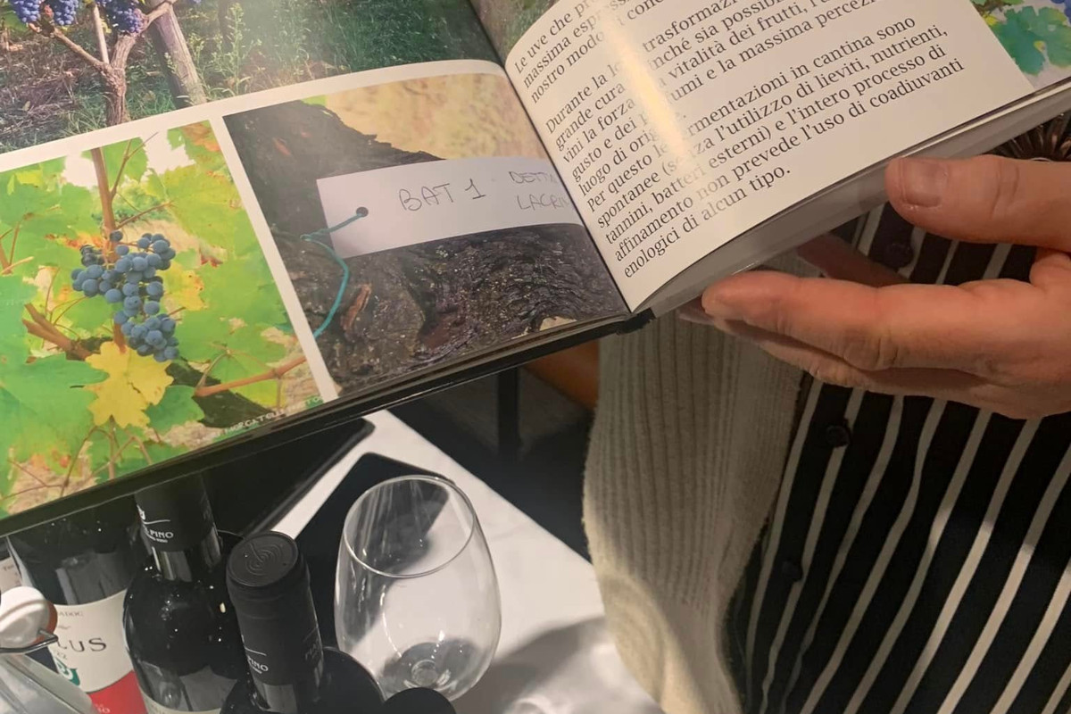 Autoctono si nasce... a Firenze: oltre 60 vitigni italiani in degustazione