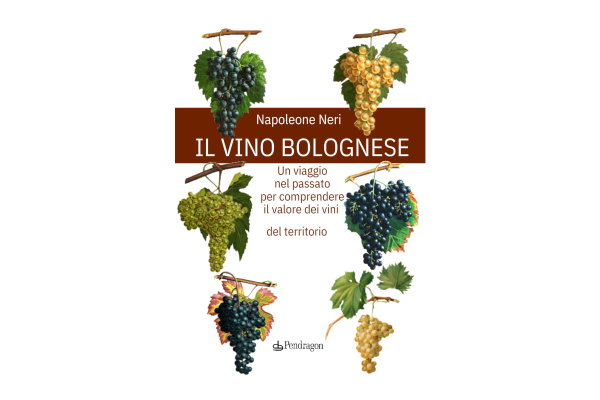 Il vino bolognese tra storia e sapori: il libro di Napoleone Neri Il vino bolognese tra storia e sapori: il libro di Napoleone Neri