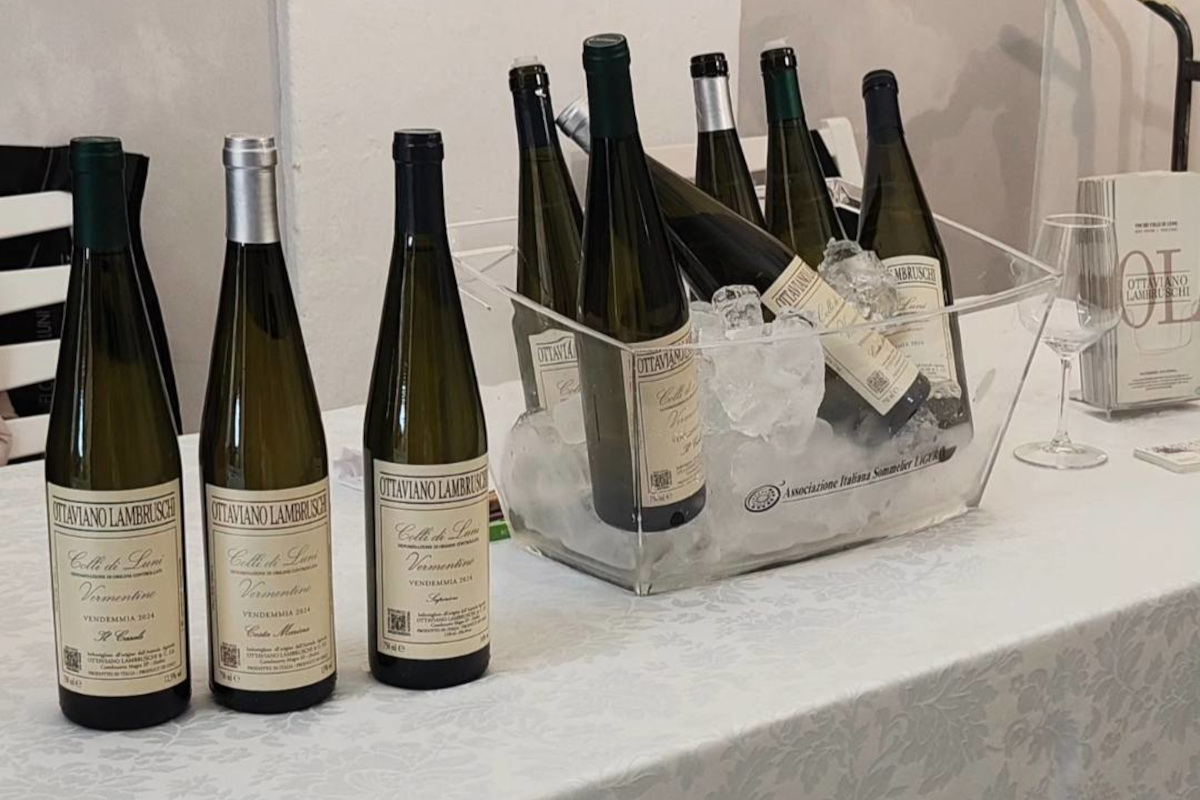 Dal Vermentino Nero agli spumanti underwater: le nuove frontiere dei produttori lunensi Dal Vermentino Nero agli spumanti underwater: le nuove frontiere dei produttori lunensi