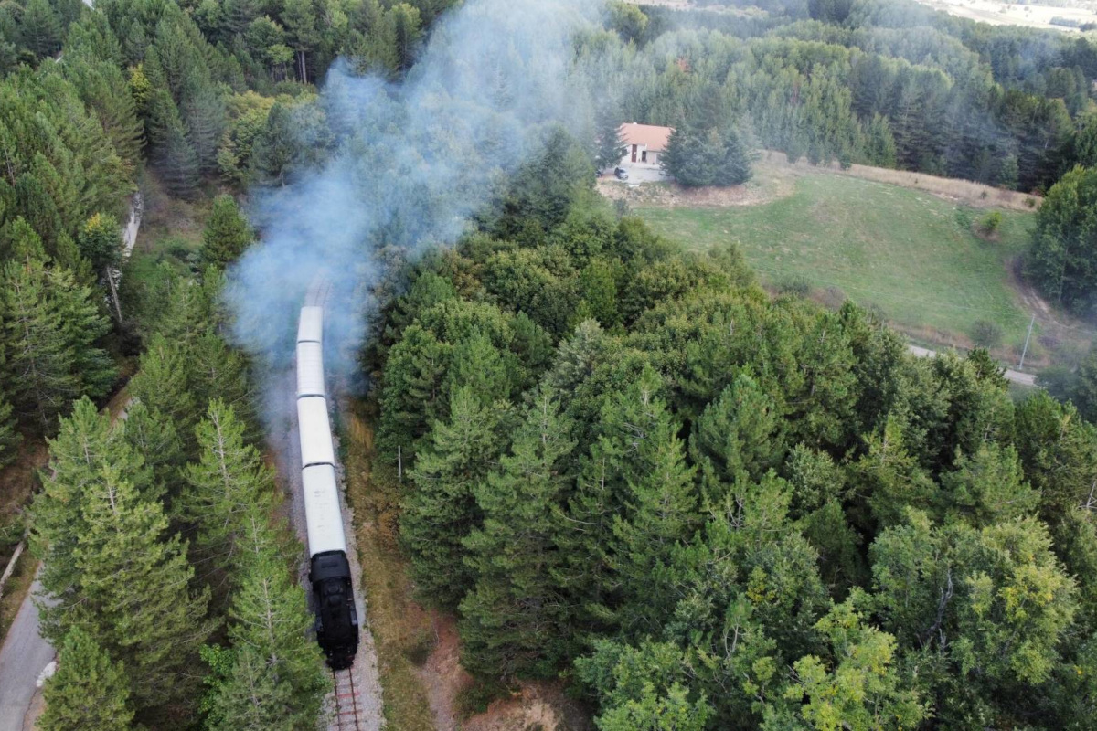 Villa dei Larici: nella Sila, tra natura, comfort e tranquillità Villa dei Larici: nella Sila, tra natura, comfort e tranquillità