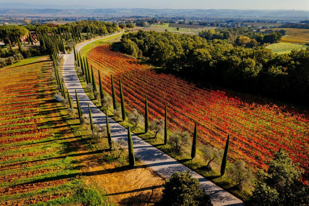 Anteprima del Vino nobile di Montepulciano: al debutto le Pievi