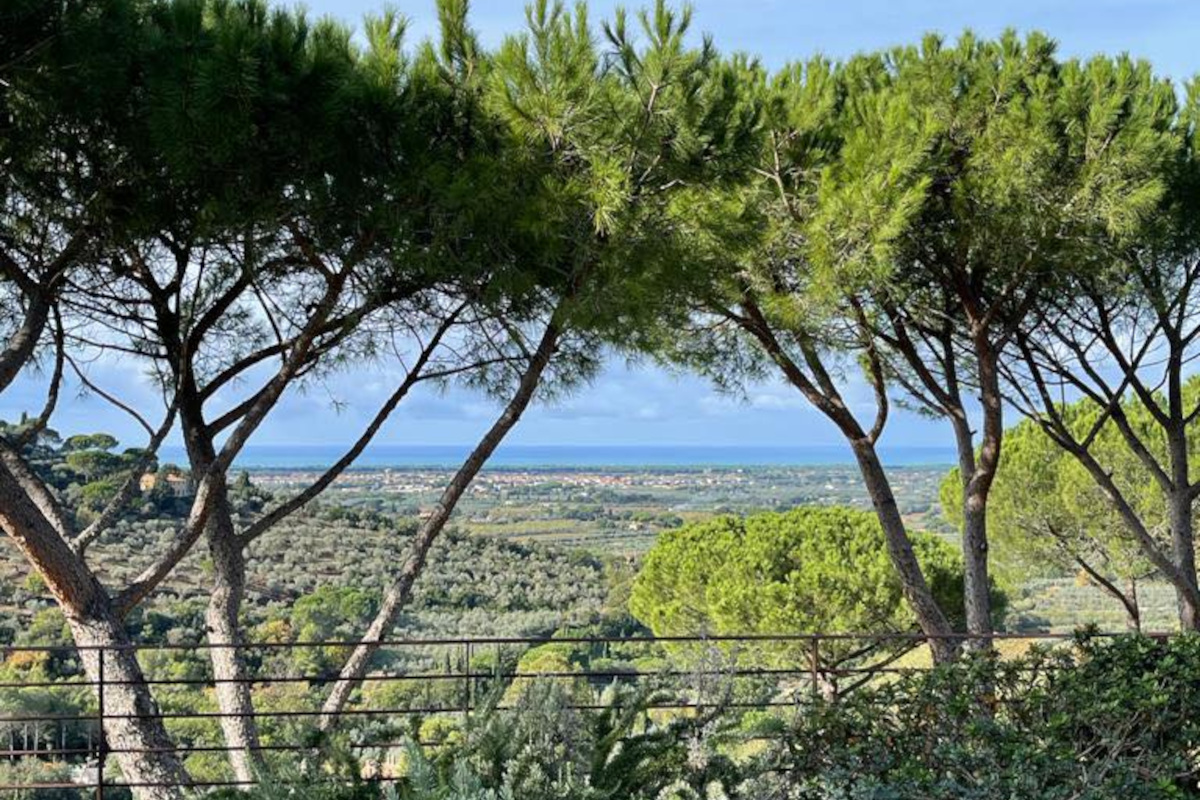 Podere Il Castellaccio: tradizione e innovazione nella terra di Bolgheri