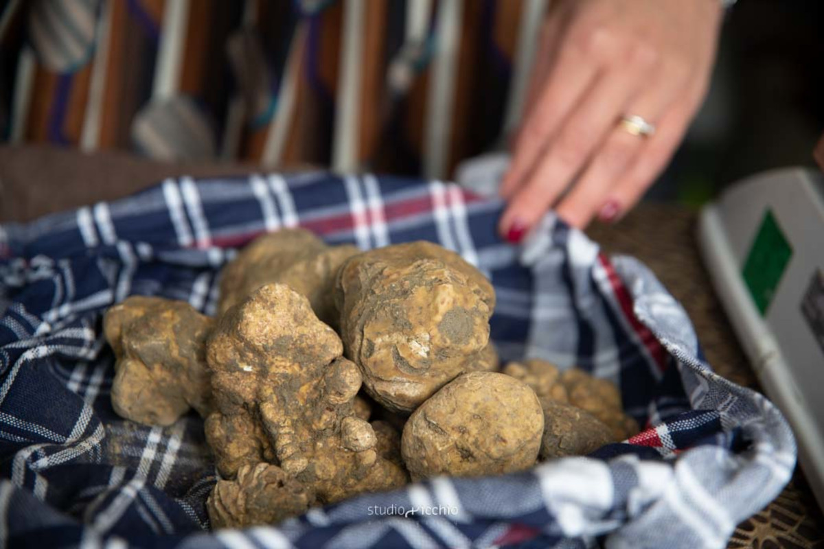 Capitale della Cultura... a tavola: a Sant'Angelo in Vado, fra storia e tartufo